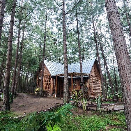 Ecohotel Los Pinos Hobo Luaran gambar