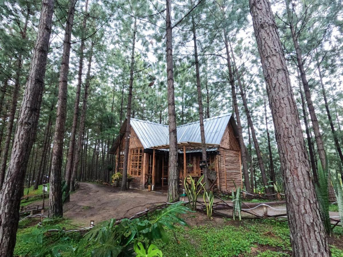 Ecohotel Los Pinos Hobo Luaran gambar